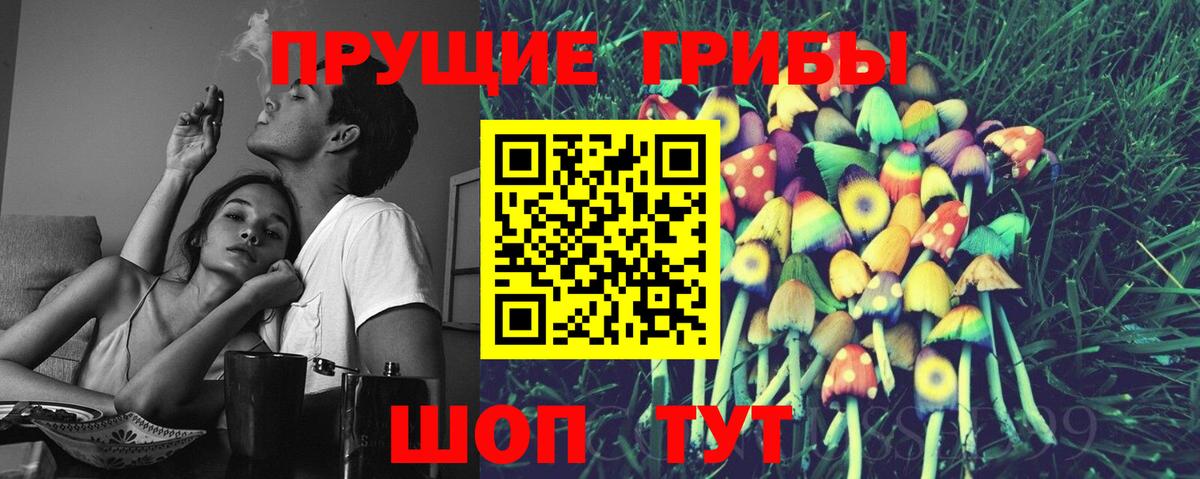 Мурманск  Псилоцибиновые грибы GOLDEN TEACHER  где найти   Вход с VPN  Псилоцибиновые грибы MAGIC MUSHROOMS 